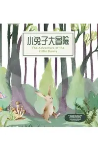 The Adventure of the Little Bunny