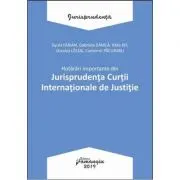 Hotarari importante din Jurisprudenta Curtii Internationale de Justitie
