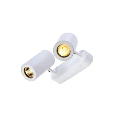 Corp iluminat TAVAN, ENOLA B de perete Luminita GU10, perete Alb si lumenul Plafon, la fata locului, cu Doua capete, QPAR51, alb, max. 100W