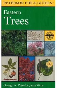 A Field Guide to Eastern Trees: Eastern United States and Canada, Including the Midwest