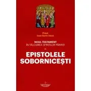 Noul Testament in talcuirea Sfintilor Parinti. Volumul 9. Epistolele Sobornicesti