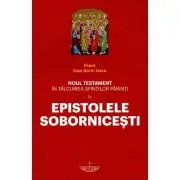 Noul Testament in talcuirea Sfintilor Parinti. Volumul 9. Epistolele Sobornicesti