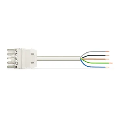 pre-assembled connecting cable; Eca; Socket/open-ended; 5-pole; Cod. A; H05Z1Z1-F 5G 2.5 mm²; 2 m; 2,50 mm²; white