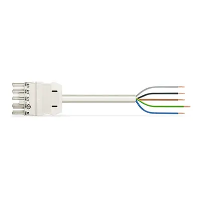 pre-assembled connecting cable; Eca; Socket/open-ended; 5-pole; Cod. A; H05VV-F 5G 2.5 mm²; 6 m; 2,50 mm²; white