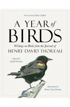 A Year of Birds: Writings on Birds from the Journal of Henry David Thoreau