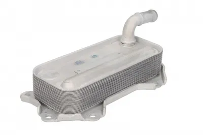 Termoflot Radiator Ulei (76x36x168) Lexus Is Ii; Toyota Auris, Avensis, Corolla, Corolla Verso, Rav 4 Iii, Rav 4 Iv, Verso 2.0d 2.2d Dupa 2005