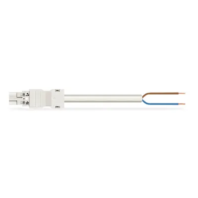 pre-assembled connecting cable; Eca; Plug/open-ended; 2-pole; Cod. A; H05Z1Z1-F 2 x 2.5 mm²; 8 m; 2,50 mm²; white