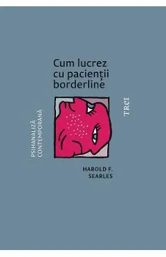 eBook Cum lucrez cu pacientii borderline