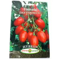 Seminte tomate Datterino F1 - Default Title