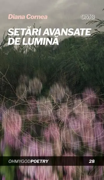Setări avansate de lumină - Paperback brosat - Diana Cornea