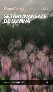Setări avansate de lumină - Paperback brosat - Diana Cornea