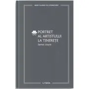 Portret al artistului la tinerete (vol. 41)