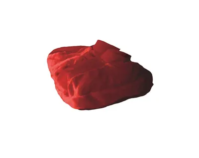 Perna pentru apa calda cu husa anatomica pentru picioare culoare Rosie, 2l, Sanger