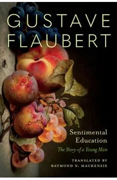 Sentimental Education: The Story of a Young Man