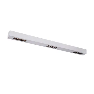 Corp iluminat TAVAN, Q-LINE ® de Luminita TAVAN, cu LED-uri de culoare GRI Montat pe suprafata INTERIOARa lumenul Plafon, 1m, BAP, Argintului, 3000K