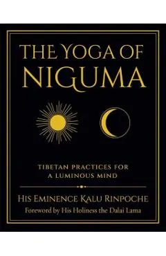 The Yoga of Niguma