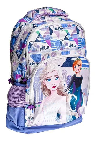 Rucsac primar 2 compartimente, 1 buzunar frontal 45x31x14 cm Frozen