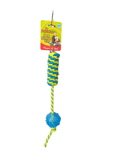Paiatze Dog Floating Webbing Rope Tpr Ball 40 Cm