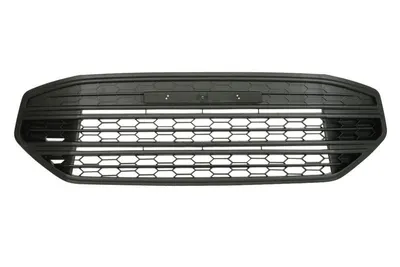Grila bara fata potrivit FORD ECOSPORT 2012-2017 - (plastic, negru)