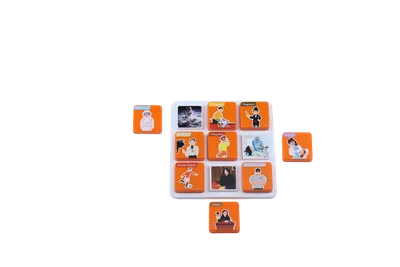 Set de 3 jocuri de asociere