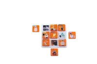 Set de 3 jocuri de asociere