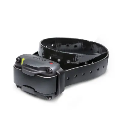 Zgarda Dogtra electronica falsa - marime mica (iQ)