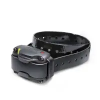 Zgarda Dogtra electronica falsa (1210, 3500)