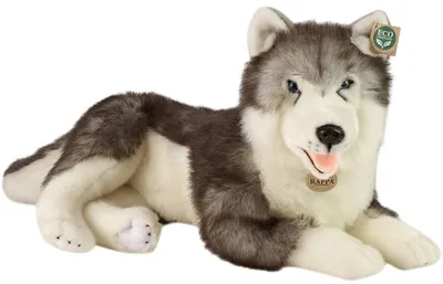 Jucărie de pluș Rappa Eco Friends - Husky siberian, 60 cm, culcat