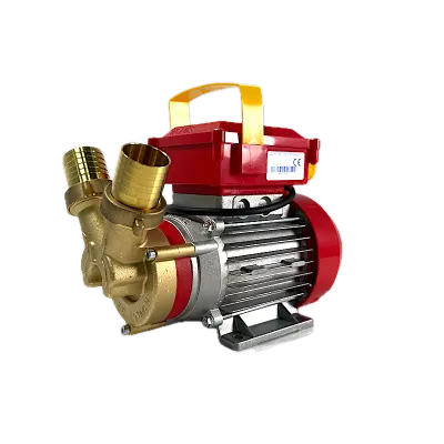 Electropompa Rover 35 pentru transvazare vin si lichide alimentare - Default Title