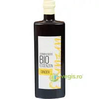 Esenta de Ghimbir Fermentata Ecologic/Bio 500ml