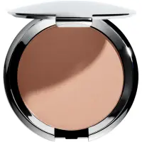 Chantecaille Compact Makeup pudra compacta cu efect matifiant Dune 10 g