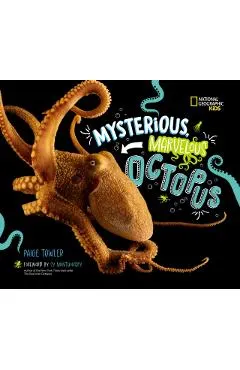 Mysterious, Marvelous Octopus!