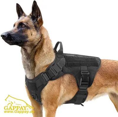 Ham Tactic Gappay - M - Negru