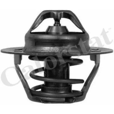 Termostat, lichid racire CALORSTAT by Vernet TH6047.89J