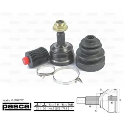 Set articulatie, planetara PASCAL G1F027PC