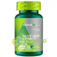 Olive Leaf Extract 600mg 90cps