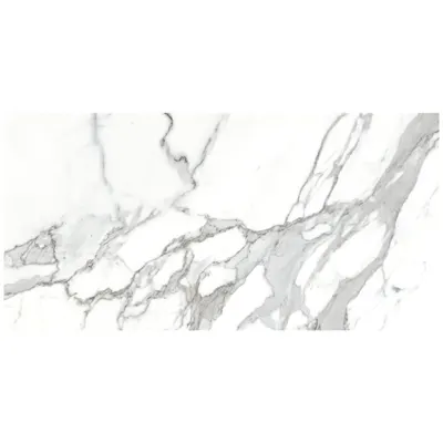 Gresie exterior / interior portelanata Eternal White 30 x 60 cm mata rectificata tip marmura