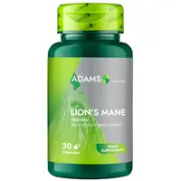 Lion's Mane 500mg 30cps