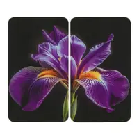 Protecții de aragaz 2 buc. din sticlă temperată 52x30 cm Iris – Wenko
