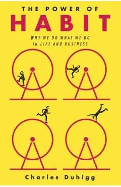 The Power of Habit: Why We Do What We Do in Life and Business