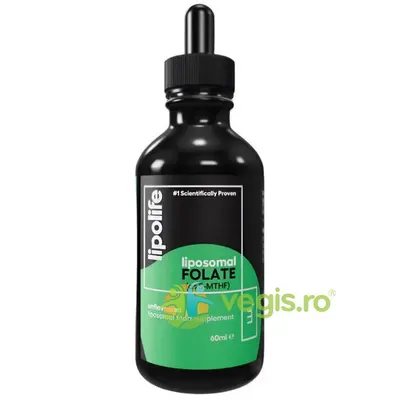 LLF1 - Folat Lipozomal 60ml