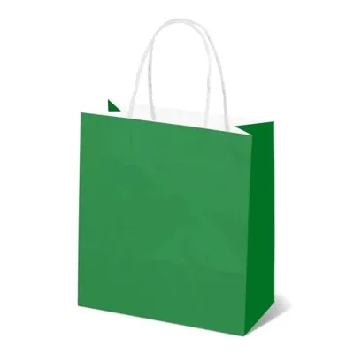 Pungi Hartie cu Manere Rasucite, Biodegradabile, Verde Inchis, 20 x 9 x 25 cm, 100 Bucati