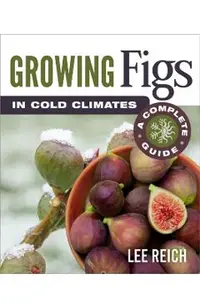 Growing Figs in Cold Climates: A Complete Guide