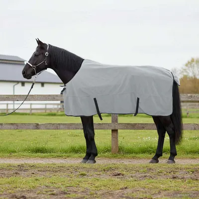 vidaXL Pătură pentru cai Gri deschis și roz complet 145 cm