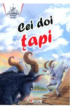 Cei doi tapi