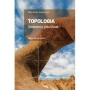 Volumul 14. Mari idei ale matematicii. Topologia. Geometria plastilinei
