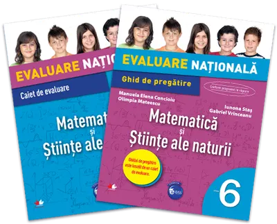 Evaluare nationala. Matematica si stiinte ale naturii. Ghid de pregatire. (clasa a VI-a)