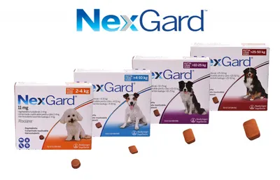 Nexgard Caine, 1 tableta