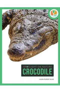 Crocodile