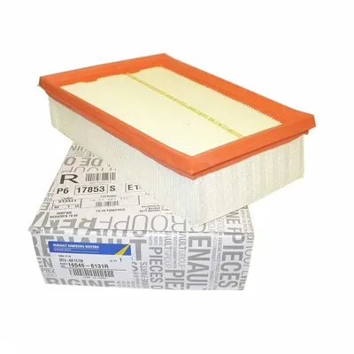 Filtru aer RENAULT 165466131R